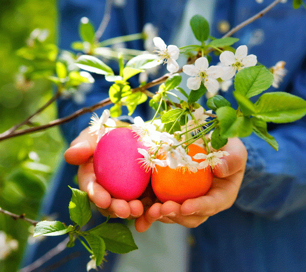 enfants ayant des œufs de pâques dans les mains