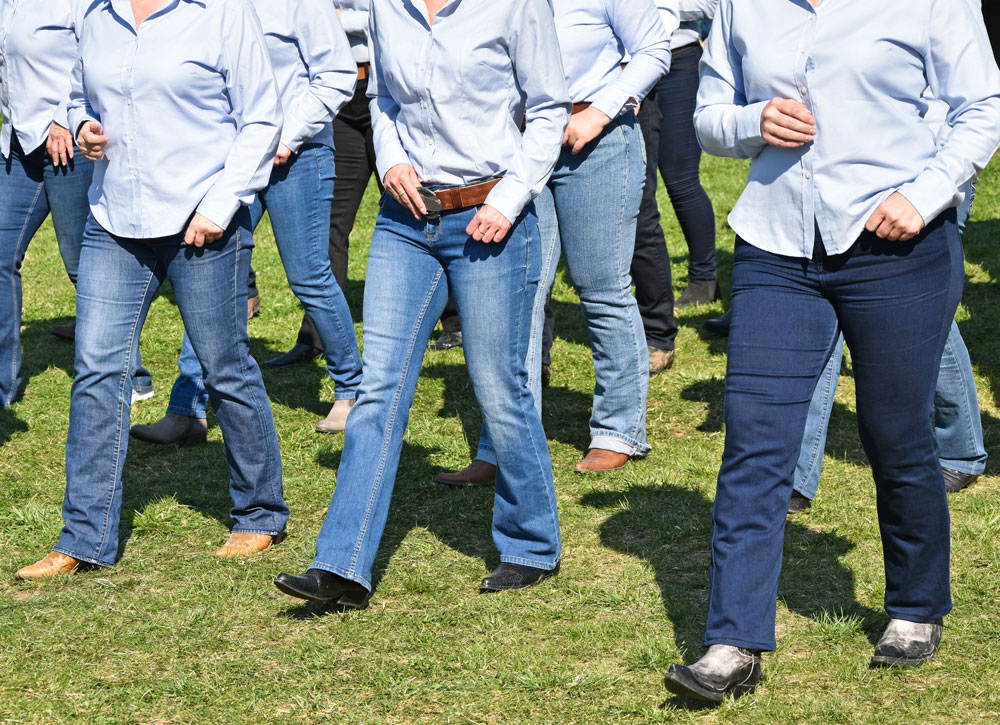 Stage danse en ligne